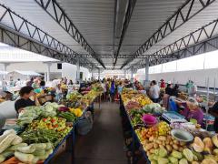 Mercado_Foto - Marta Medeiros-CAR (2).jpeg