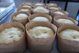 WhatsApp Image 2024-04-01 at 3.22.31 PM (3).jpeg