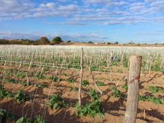 WhatsApp Image 2024-04-18 at 18.44.31 (2).jpeg