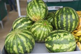 WhatsApp Image 2024-04-28 at 09.05.55.jpeg