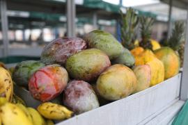 WhatsApp Image 2024-04-28 at 09.05.56.jpeg