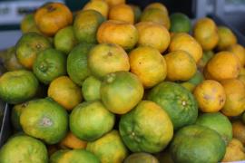 WhatsApp Image 2024-04-28 at 09.05.57.jpeg