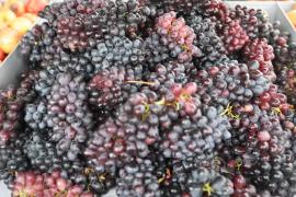 WhatsApp Image 2024-04-28 at 09.05.58 (1).jpeg