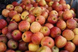 WhatsApp Image 2024-04-28 at 09.05.58.jpeg