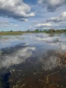 WhatsApp Image 2024-04-30 at 09.55.43.jpeg