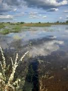 WhatsApp Image 2024-04-30 at 09.55.44.jpeg