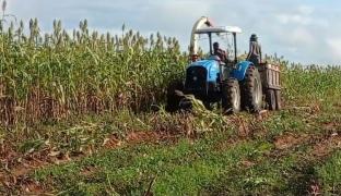 WhatsApp Image 2024-04-30 at 10.39.56.jpeg