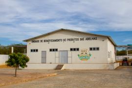 Agroindústria Mel Ibotirama (29).jpg