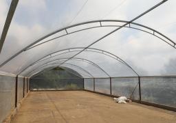 Tecnologias impulsionam qualidade e produtividade do café da agricultura familiar no Sudoeste (4).jpg