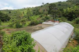 Tecnologias impulsionam qualidade e produtividade do café da agricultura familiar no Sudoeste (7).jpg