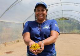Tecnologias impulsionam qualidade e produtividade do café da agricultura familiar no Sudoeste (8).jpg