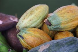 WhatsApp Image 2024-05-08 at 16.13.53.jpeg