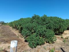 WhatsApp Image 2024-05-10 at 10.35.32 (2).jpeg