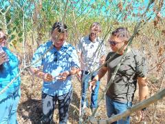 WhatsApp Image 2024-05-10 at 10.35.33 (2).jpeg