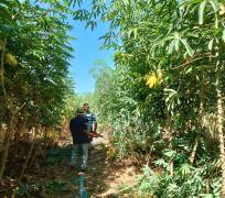 WhatsApp Image 2024-05-10 at 10.35.35.jpeg