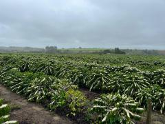 WhatsApp Image 2024-05-10 at 15.47.18 (3).jpeg