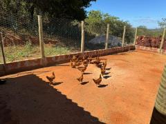 WhatsApp Image 2024-05-21 at 16.57.34 (1).jpeg