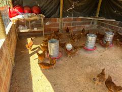 WhatsApp Image 2024-05-21 at 16.57.34.jpeg