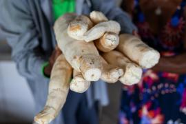 WhatsApp Image 2024-05-23 at 07.51.16 (2).jpeg