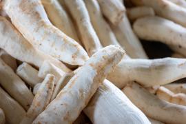 WhatsApp Image 2024-05-23 at 07.51.17.jpeg