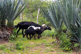 WhatsApp Image 2024-05-24 at 10.12.51 (1).jpeg