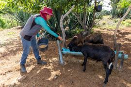 WhatsApp Image 2024-05-24 at 10.12.52 (1).jpeg