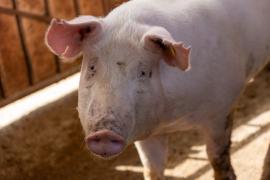 WhatsApp Image 2024-06-06 at 11.39.31 (1).jpeg