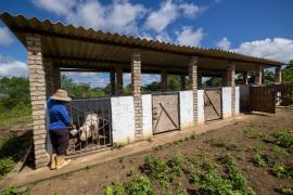 WhatsApp Image 2024-06-06 at 11.39.31 (2).jpeg