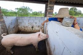 WhatsApp Image 2024-06-06 at 11.39.31.jpeg