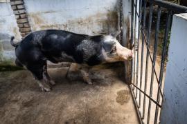 WhatsApp Image 2024-06-06 at 11.39.34.jpeg