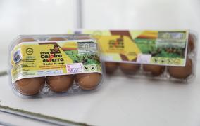 WhatsApp Image 2024-06-12 at 21.40.07.jpeg