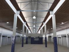 WhatsApp Image 2024-06-21 at 10.51.33.jpeg