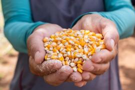 WhatsApp Image 2024-06-28 at 15.00.04.jpeg