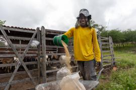 WhatsApp Image 2024-06-28 at 15.00.05(1).jpeg