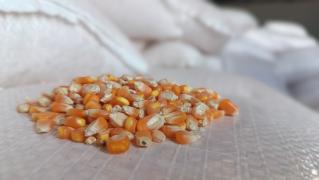 WhatsApp Image 2024-06-28 at 15.00.05(3).jpeg