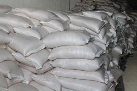 WhatsApp Image 2024-06-28 at 15.00.06.jpeg