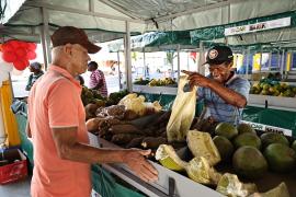 WhatsApp Image 2024-06-28 at 16.47.19.jpeg