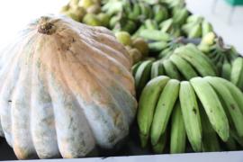 São João do Panelinha - Foto Geraldo Carvalho_CAR (10).jpeg