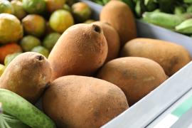 São João do Panelinha - Foto Geraldo Carvalho_CAR (14).jpeg