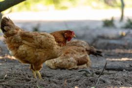 WhatsApp Image 2024-07-03 at 16.47.24 (1).jpeg