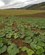 WhatsApp Image 2024-08-12 at 10.24.46.jpeg