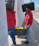 WhatsApp Image 2024-08-12 at 10.24.47 (1).jpeg