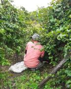 WhatsApp Image 2024-08-12 at 11.24.16.jpeg