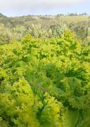 WhatsApp Image 2024-08-12 at 11.24.17.jpeg