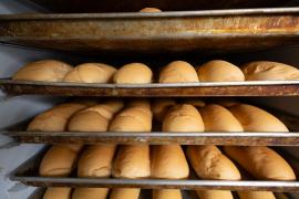 WhatsApp Image 2024-08-13 at 10.03.28.jpeg