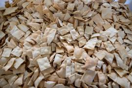 WhatsApp Image 2024-08-13 at 10.03.32 (2).jpeg