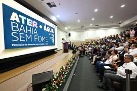 WhatsApp Image 2024-08-14 at 09.22.42.jpeg