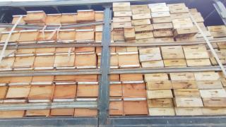 WhatsApp Image 2024-08-16 at 13.10.30.jpeg