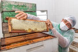 WhatsApp Image 2024-08-21 at 14.44.06(1).jpeg