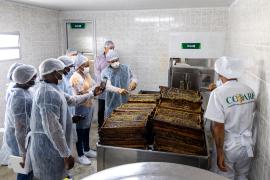 WhatsApp Image 2024-08-21 at 14.44.08(2).jpeg